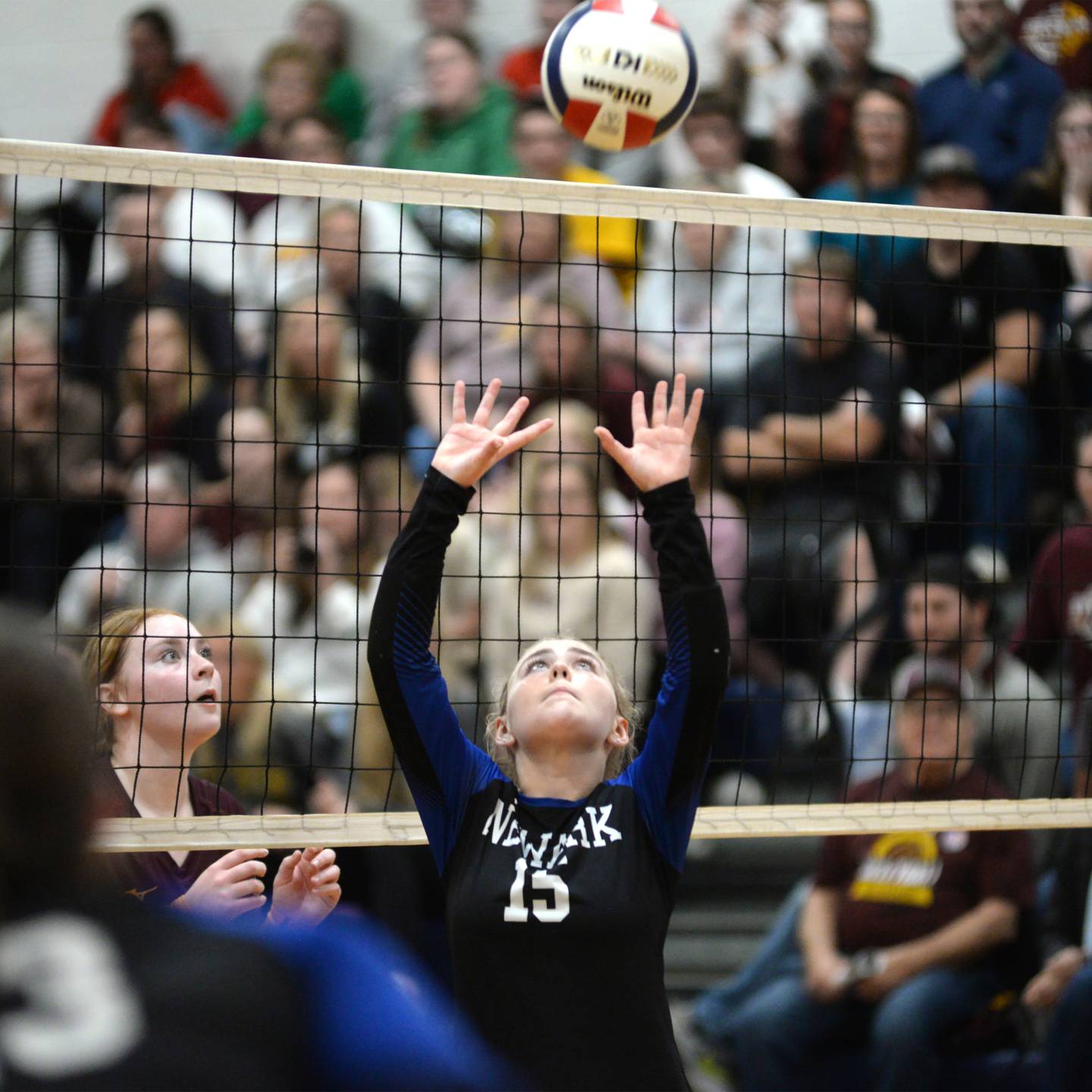 Newark's Taylor Jeffers (15) sets the ball against Stockton during 1A action at the Polo Sectional on Tuesday, Nov. 5, 2024 at Polo High School.