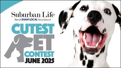 Vote now in Suburban Life’s June Cutest Pet