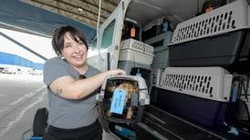 Kane County humane group takes in pets from Texas after catastrophic floods 