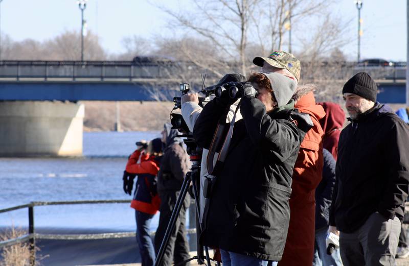 Flock to the Rock attracted about 50 people to the shoreline of Lower Dam Park on Saturday, Feb. 11, 2023 in Rock Falls. Most eyes were trained on a single bird perched in the trees near the adjacent island of Lawrence Park.