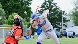 Photos: Kewanee at Princeton baseball