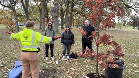 Advocate Health plants 75 trees at Advocate Good Shepherd Hospital