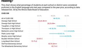 Can Kendall County students read and do math at grade level?