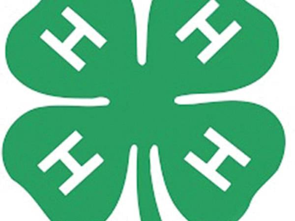 U of I Extensions to offer various 4-H summer library programs