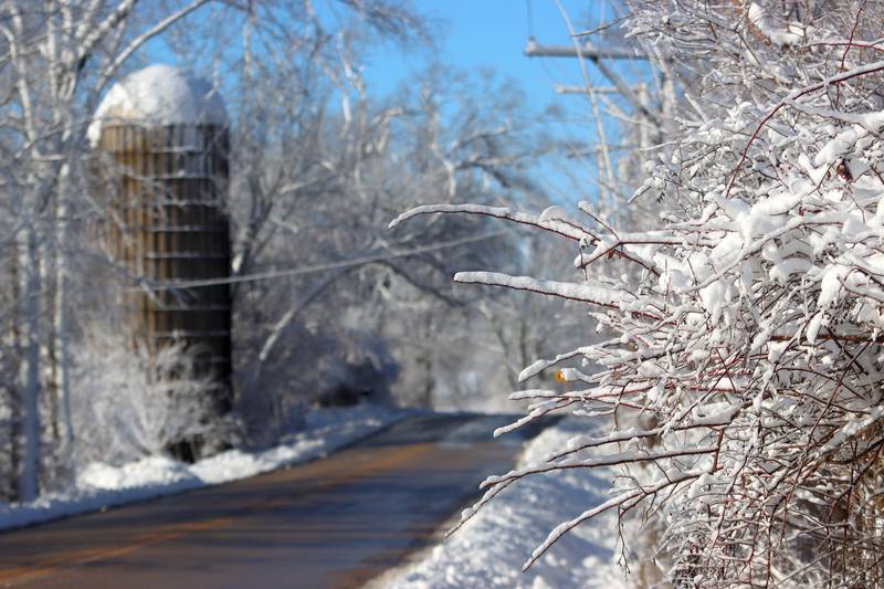 Fresh snow is piled on branches along Collins Road near Marengo Saturday morning. Bitter cold is expected to worsen into Sunday, the National Weather Service warned.