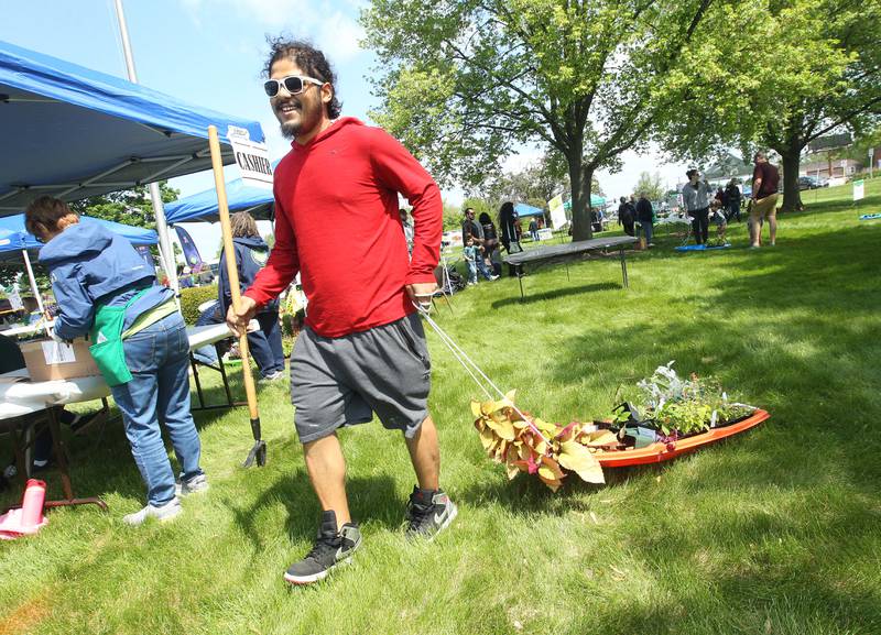 Isaiah Agosto, of Wadsworth, carries his plants on a sled Saturday, May 20, 2023, during the Lake County Extension Master Gardener Spring Plant Sale at the University of Illinois Extension in Grayslake.