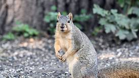 Will County forest preserves ready to welcome in April, celebrate Earth month