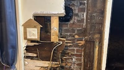 Fire damages home in Monroe Center, no injuries