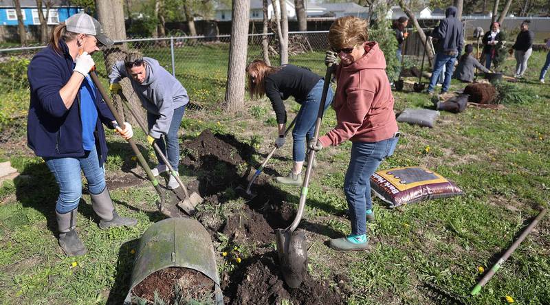 Colleen Parks, (L-R) clincal director at Elder Care Services, Tara Russo, executive director at Elder Care, along with volunteers Katlynn Lee and Elaine Davis dig a hole for a tree Tuesday, April 21, 2026, during the event at Elder Care Services in DeKalb. Several trees were planted at the location to kick off the DeKalb Township’s 250 Trees for Tomorrow initiative.