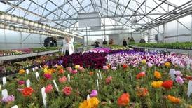 Polo Woman’s Garden Club plant sale is May 2