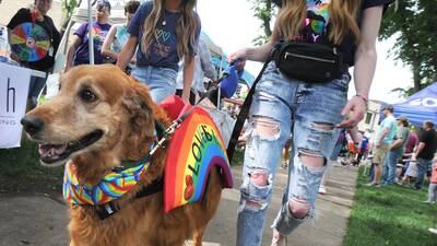 5 things to do in the Illinois Valley: Another weekend of outdoor festivals ahead