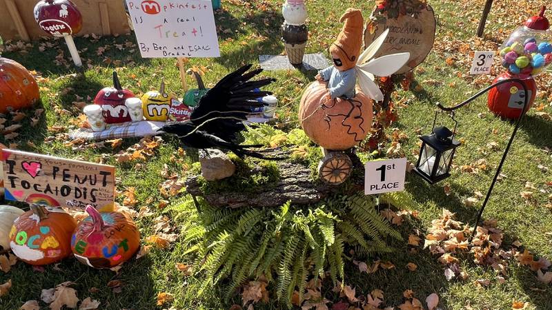 Lexi and Nancy Gardner's first place entry for the Happy & Fancy 12-to-17-year-old category sit with other pumpkins in downtown Sycamore on Oct. 28, 2022.