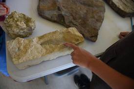 U of I Extension hosts fossil identification workshop
