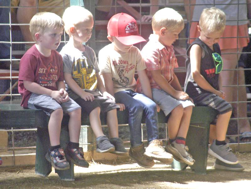 Contestants in the Pedal Pull competition await their turn. Fair action at the Lee County Fair concluded with events Sunday, July 27, 2025.