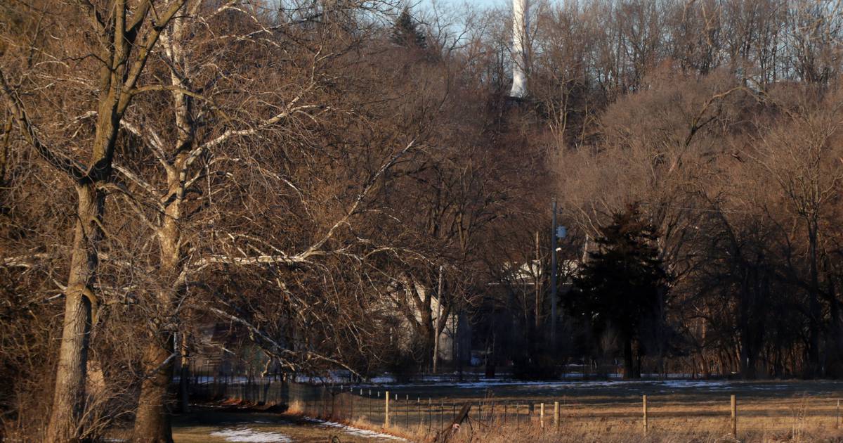 Deer hunting numbers up in La Salle, Bureau, Putnam counties Shaw Local