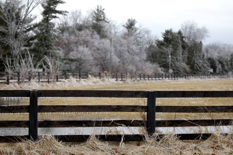 Ice covered trees and dripped from signs in western Kane County after a storm on Thursday, Feb. 23, 2023.