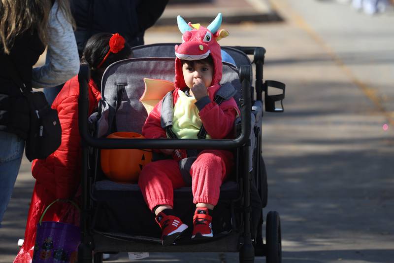 Louie Mondragon eats candy while sitting in a stroller at the annual Halloween Spooktacular in downtown Plainfield on Saturday, Oct. 28, 2023.