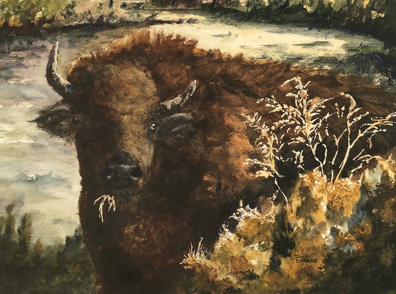 “Pretty and Tasty,” a watercolor by Dick Cholke of Pecatonica, is part of the Regional Survey exhibit put on by The Next Picture Show gallery in Dixon.