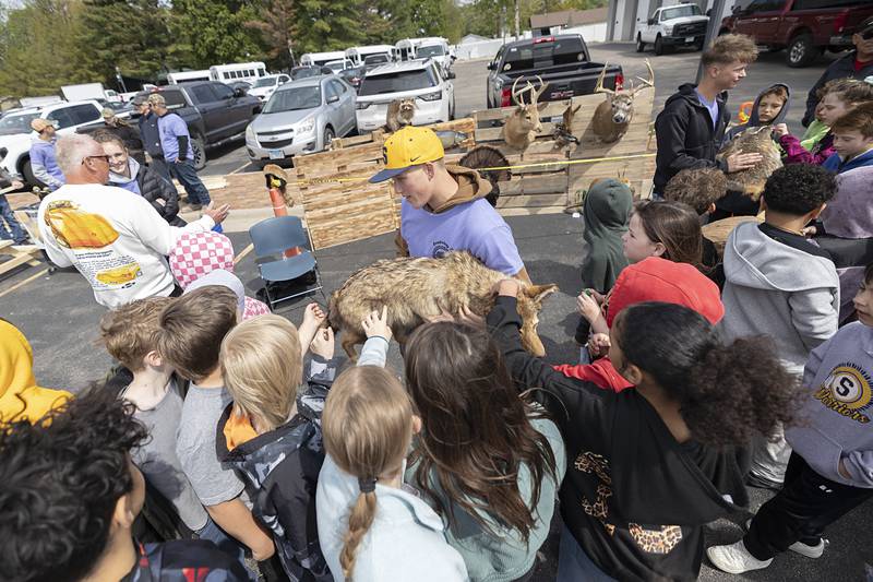 Wyatt Cassens lets visitors pet a taxidermic coyote Thursday, May 7, 2026, during Sterling High School’s Farmapalooza. The FFA-sponsored event brings in students and members of the public to introduce Sterling’s grade school students to agriculture life.