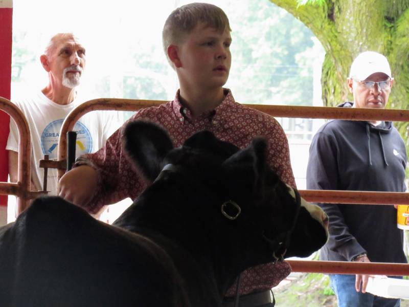 Breckin Anderson holds his heifer for judging.