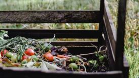 Down the Garden Path guest columnist series: Easy food scrap composting