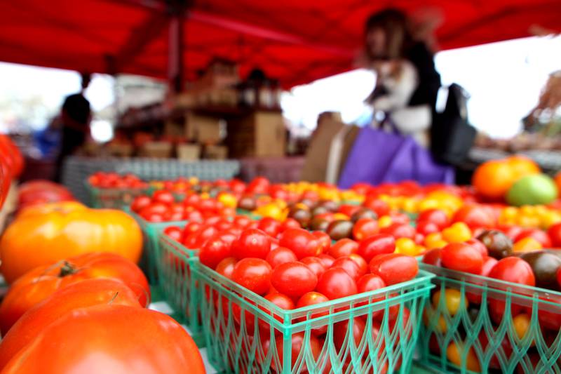 Fresh produce was available at the Harms Farm & Garden Center booth as part of the Johnny Appleseed Festival in downtown Crystal Lake on Saturday Sept. 28, 2024, in Crystal Lake.