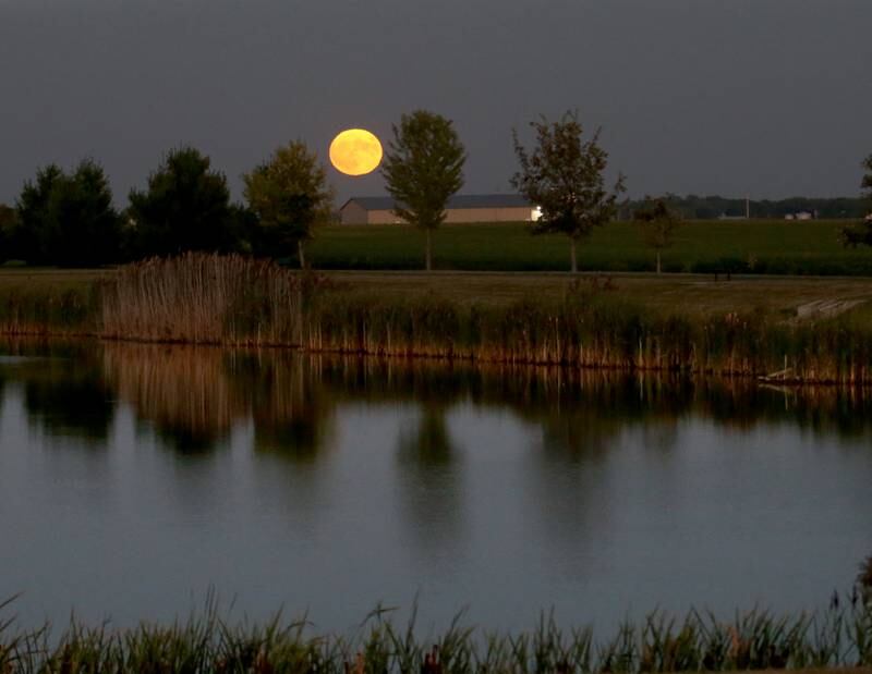 A full supermoon shines over the lake at Zearing Park on Wednesday, Aug. 30, 2023 in Princeton. A supermoon occurs when the moon is it's closest point in it's orbit around Earth. During this occurrence, the moon looks slightly larger-than-it's usual appearance. According to NASA, this supermoon was 222,043 miles from Earth or 17,000 miles closer than the average normal full moon.The first full Moon came on August 2 and the second one on August 30.