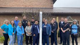 Lockport Township joins movement to end violence with Peace Pole