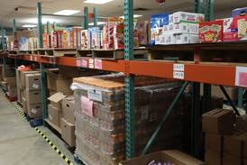 Other ways to support DeKalb County residents during SNAP uncertainty 