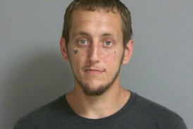 Marseilles man faces up to 10 years in stolen gun plea
