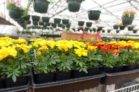 ‘Learn, Grow, Share’ Garden Planting Day set May 17 in Henry 