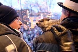 Listen: McHenry County’s 5 most-read stories this week, Feb. 1-7