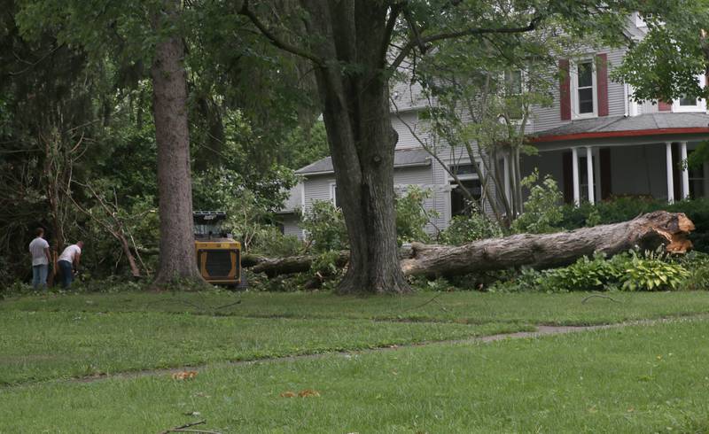 Crews with Timber Falls Tree Service clean up a giant tree that fell near a home in the 900 block of Euclid Street on Friday, July 11, 2025 in Princeton. Princeton received over 4 inches of rain from the storm system that sent winds and heavy precipitation to the area.