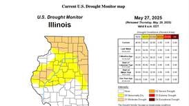 Drought concerns rise in northern Illinois as precipitation falls short