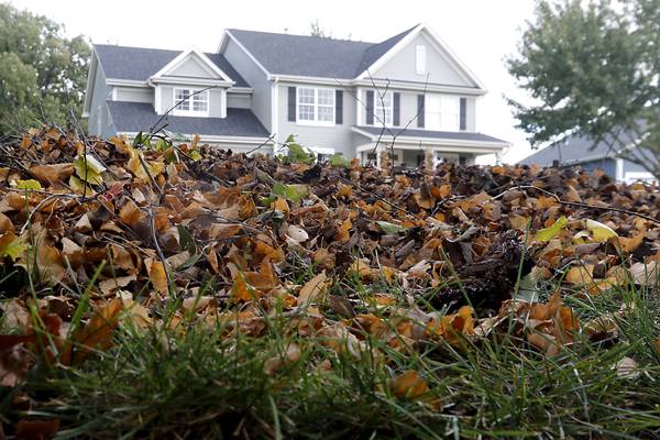 Early, heavy snows bump some fall leaf collection to spring in McHenry 