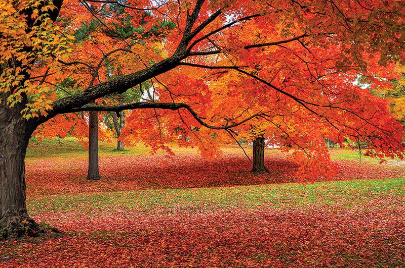Crystal Lake Travel - Three Places To Consider For New England Fall Travel