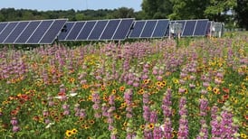 Yorkville hears plans for third solar farm