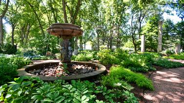 Museum to host A Little Night Music with David Lahm, local performers