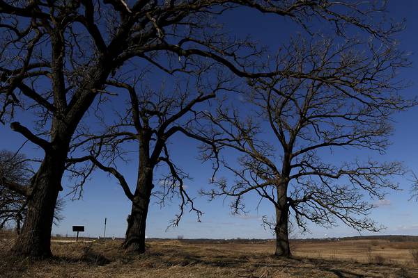 Land with McHenry County’s oldest trees – up to 400 years – acquired by Conservation District