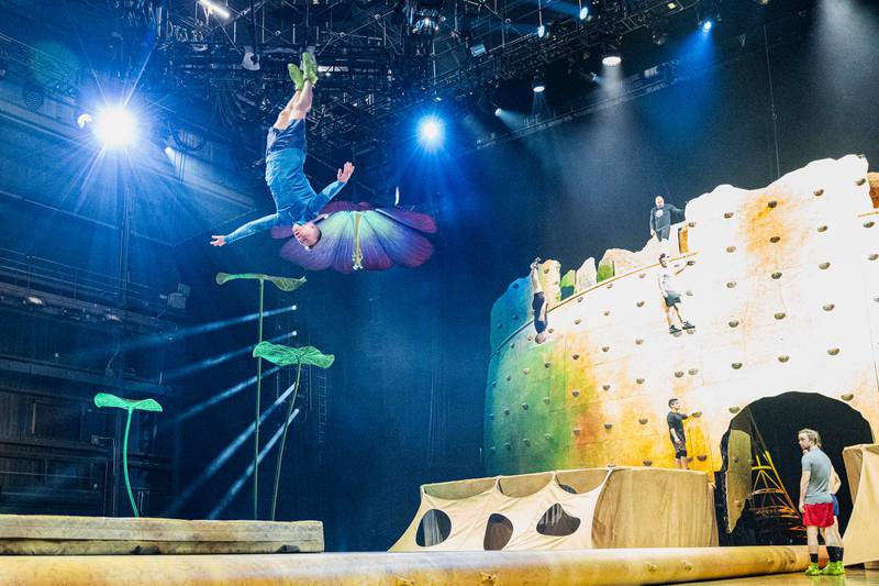 OVO by Cirque du Soleil has undergone a full ‘metamorphosis’ under the watchful eye of its original creators, and will return to the NOW Arena in Hoffman Estates Feb. 13-16 .