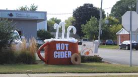Sauk Valley Living’s Top 15 decorative hay bales in Rochelle