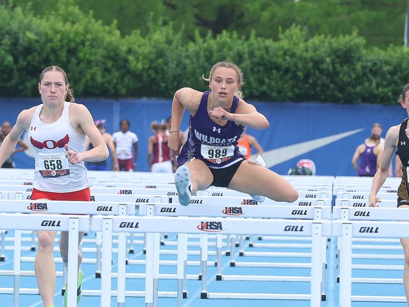 Milford/Cissna Park’s Addison Lucht, Wilmington’s McKenna Van Tilburg win state titles
