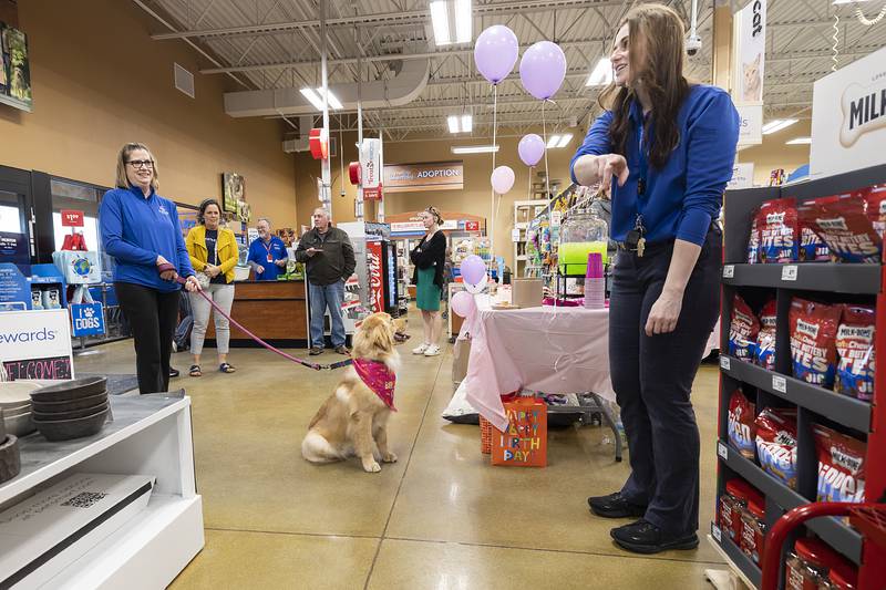 Mary Toth (right), handler of Millie, attempts to direct the comfort dog’s attention Tuesday, Feb. 25, 2025, during a birthday party for the pooch. Sterling police adopted Millie in April to replace the retiring Brinkley.