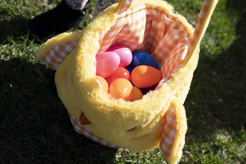 A collection of Easter eggs belonging to Madison Johnson, 3, of Huntley, rests in a basket during an Easter Egg Hunt on Saturday, April 16, 2022 at Deicke Park in Huntley. The Huntley Park District put out 11,000 plastic eggs for the hunt.