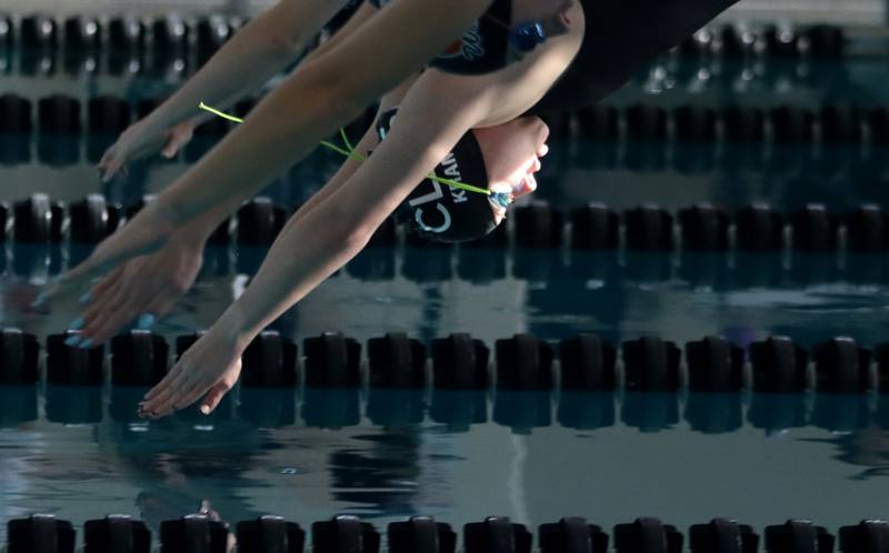 Kendall Kramer of Crystal Lake South co-op and others begin the 50-yard freestyle during the Fox Valley Conference Championship Meet at Woodstock North High School on Saturday, Nov. 2, 2024 in Woodstock .
