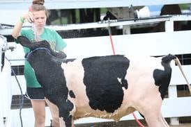 La Salle County 4-H fair begins July 10