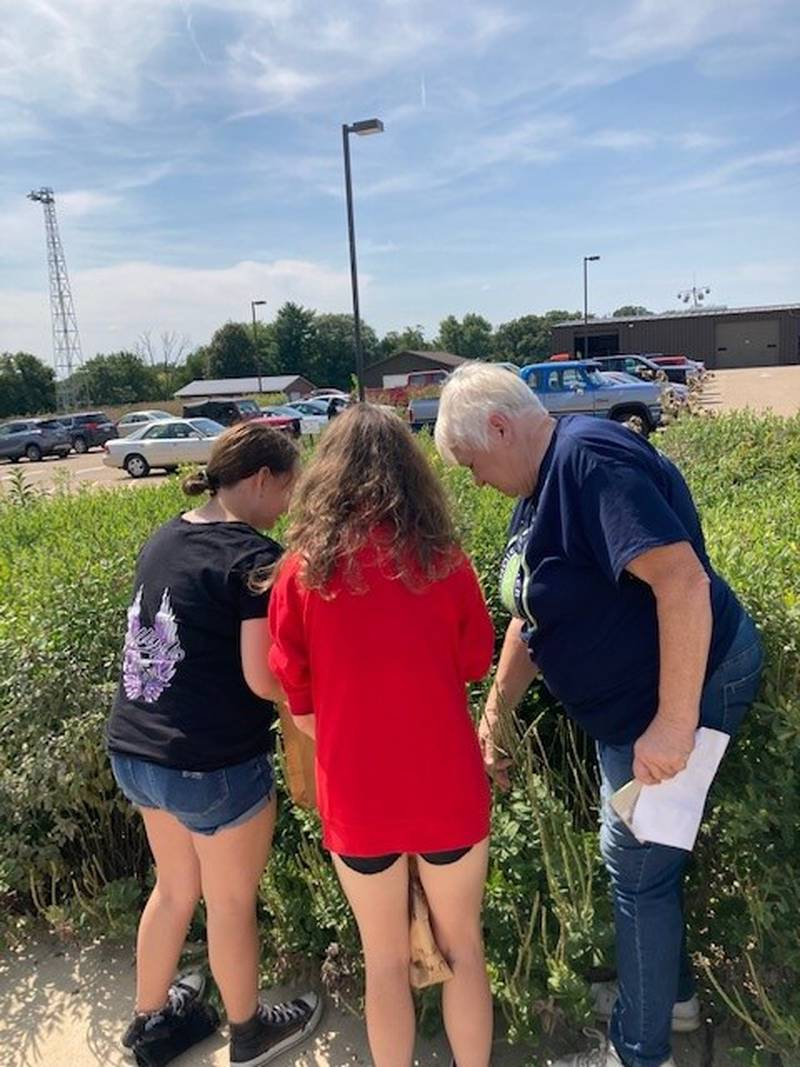 Master Gardener Barb Dahlbach discusses pollination with students from Hall High School.