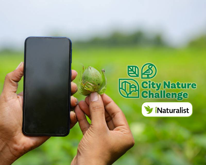 Sycamore Park District - April’s Annual BioBlitz with the Sycamore Park District