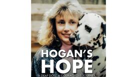 LocalLit book review: A story of faith and hope for a pandemic year