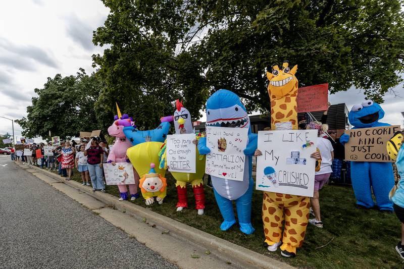 Protestors line Plainfield Road in Joliet during the No Kings Protest in Joliet on Oct. 18, 2025.